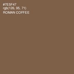 #7E5F47 - Roman Coffee Color Image